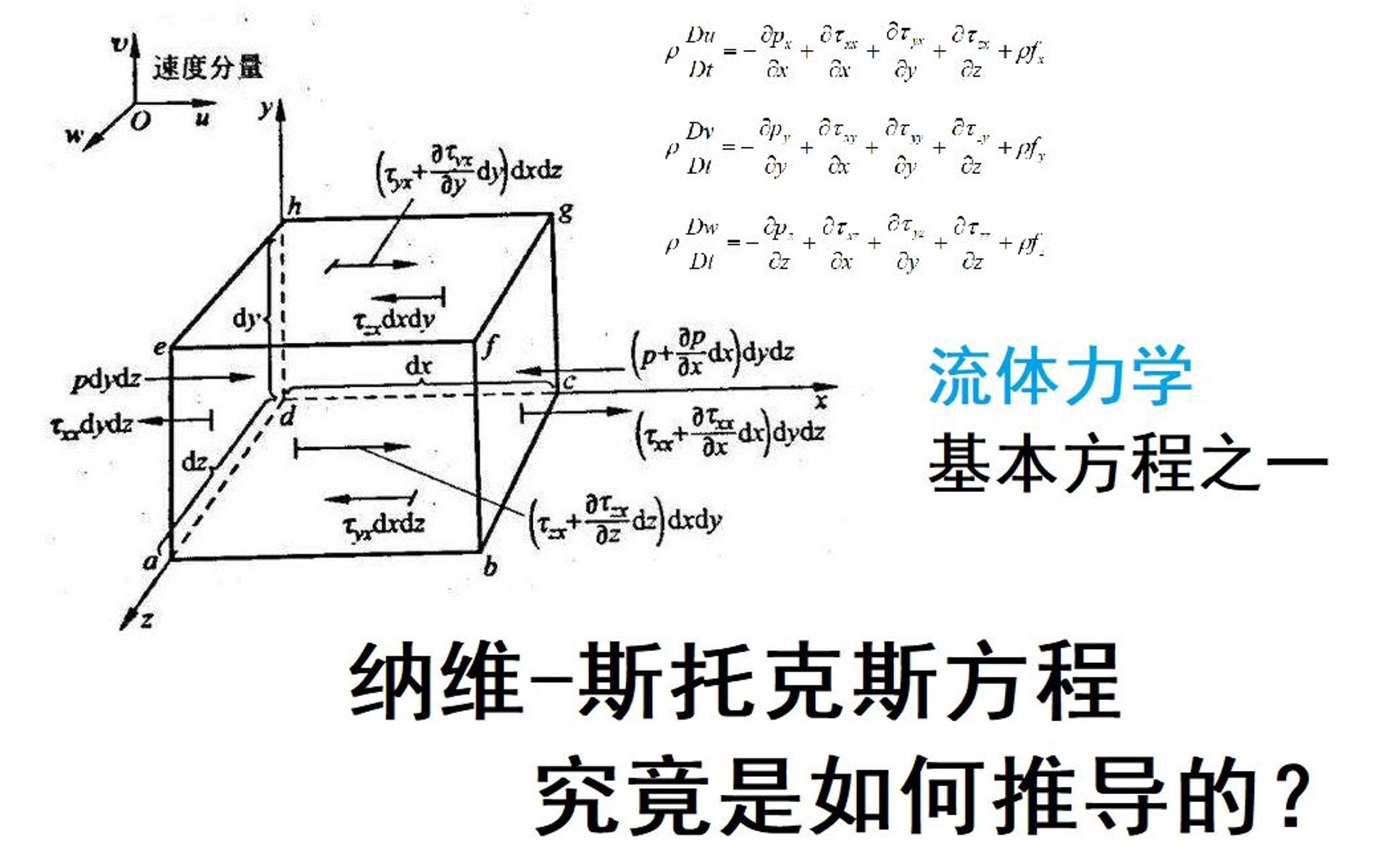 星天纳维科技